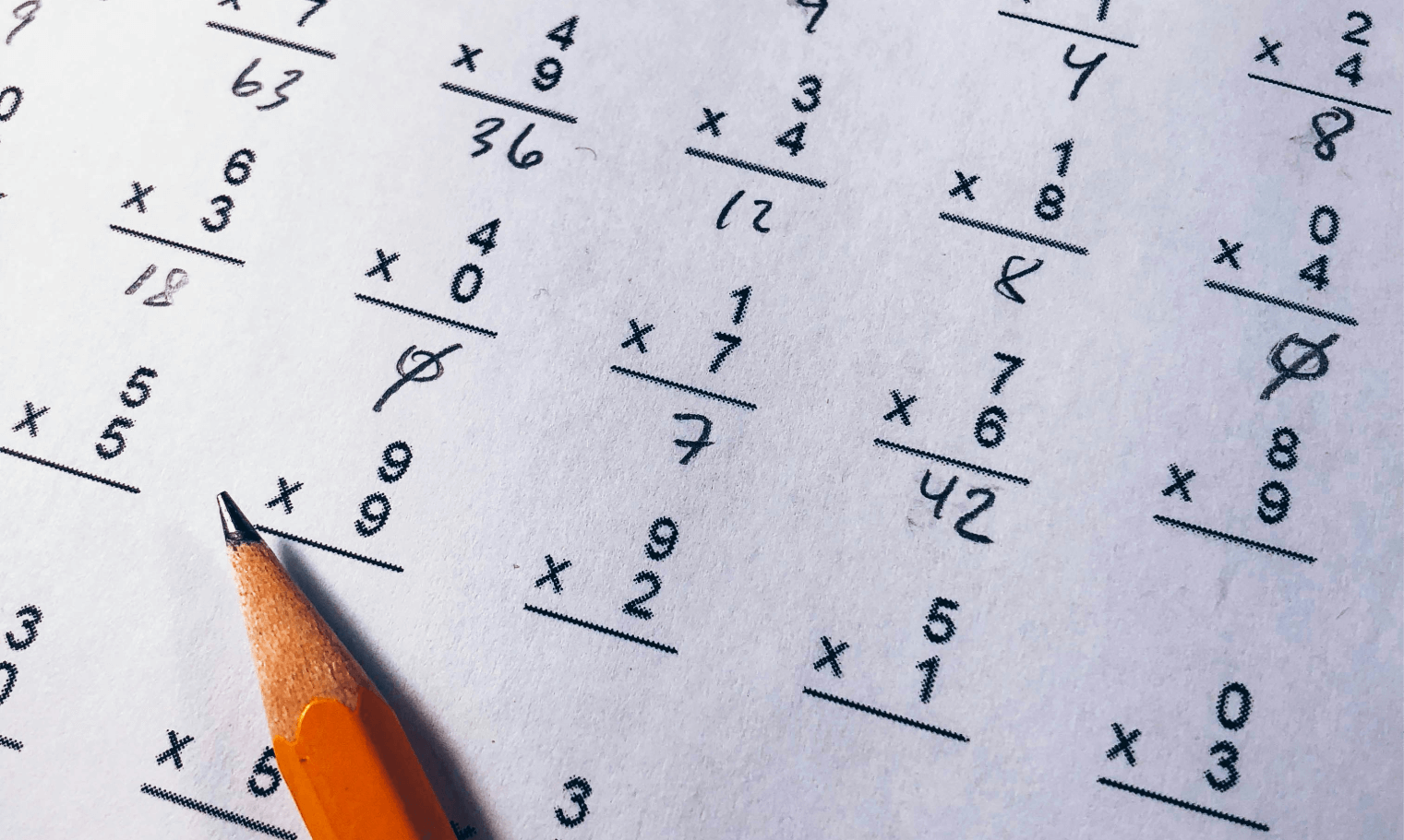 Leaving Certificate Maths and Accounting Grinds: Personalized Tutoring for Exam Success