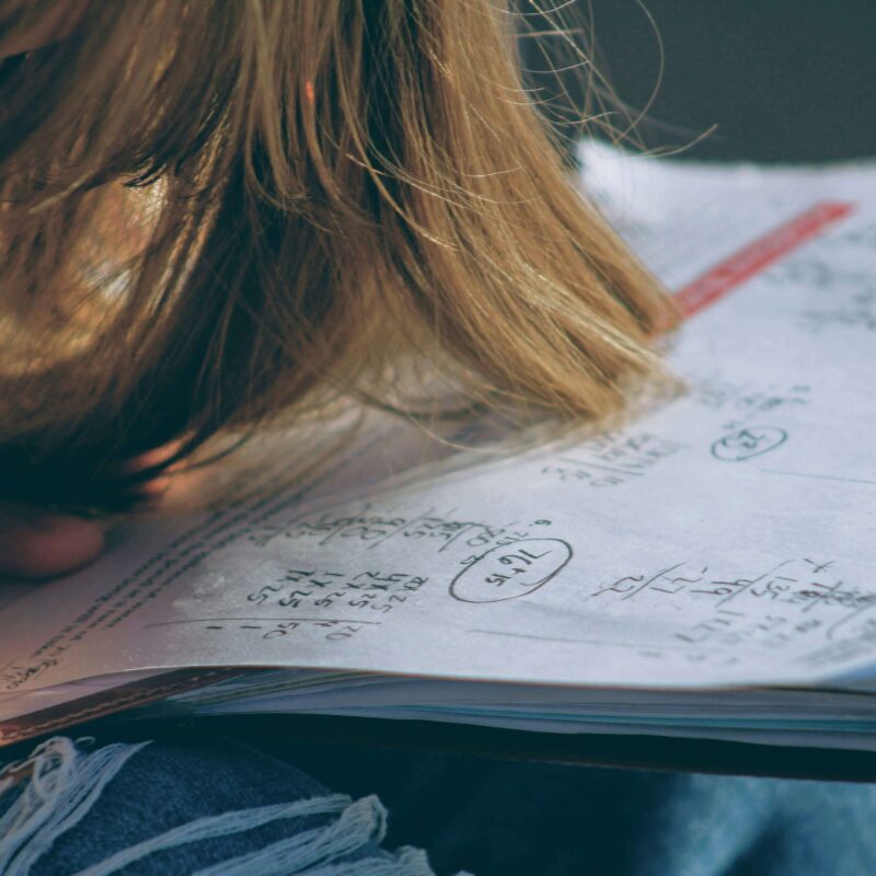 Leaving Cert Maths and Accounting Grinds Tutoring Session