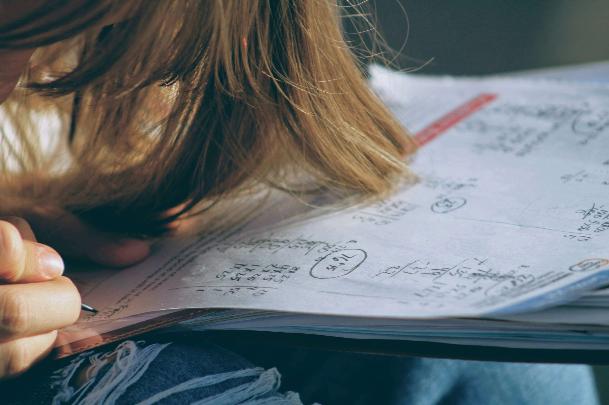 Achieving Academic Excellence with Maths and Accounting Leaving Cert Grinds